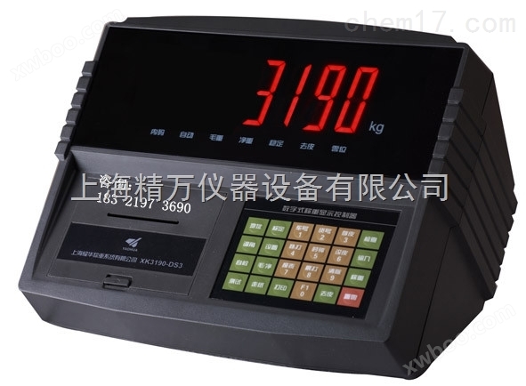 耀华XK3190-DS3m1电子秤厂家，数字仪表销售