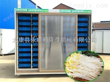 淮阳日产500斤全自动豆芽机