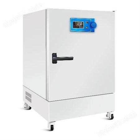 精密型电热恒温(鼓风)干燥箱HGZF-Y-50型