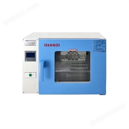 热空气消毒箱干热消毒器HGRF 型