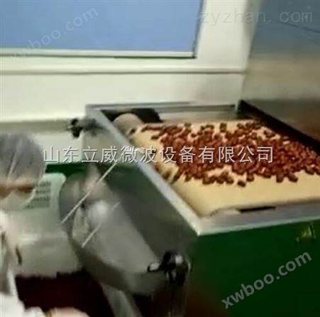 红枣大枣干燥杀菌设备是如何工作的