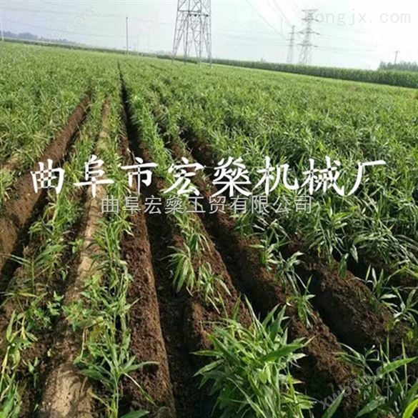 神木县起垄种植多功能开沟陪土机 生姜复土施肥开沟机