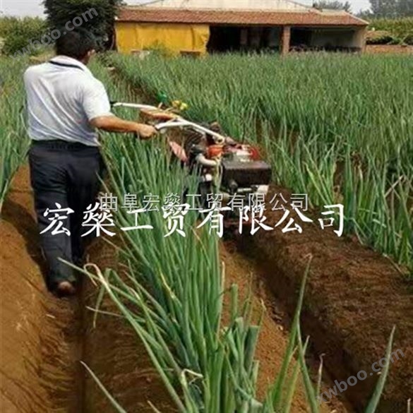 洪雅县干土地种植物开沟培土 小型多功能田园管理机