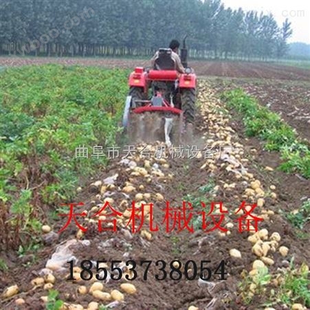 马铃薯打秧收获机 小型手扶土豆收获机 新型根茎类收获机械供应厂家