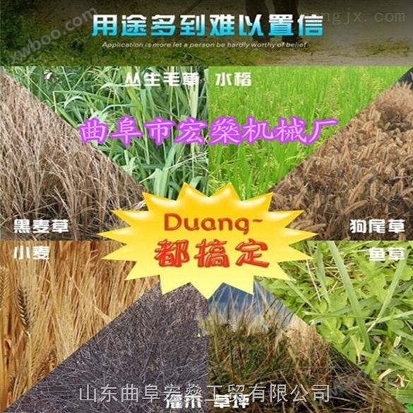 隆化县药材基地清除杂草管理机背负式锄草松土机