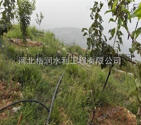 汉中市小管出流留坝县果园喷灌带工程