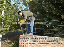 北京电子围栏生产研发厂家---yt-r100电子围栏