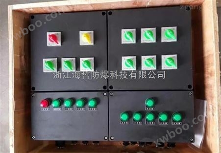 BXM8050-10kT多回路防爆防腐配电箱