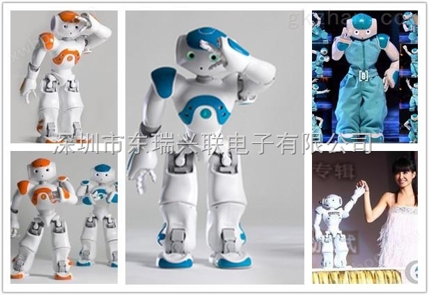 东瑞兴联提供国内市面上zui全机器人租赁服务机器人表演