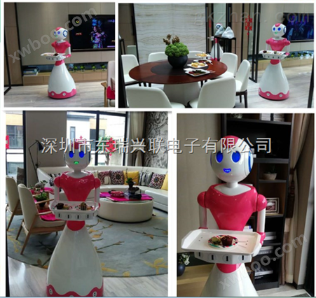 智能机器人展览机器人表演机器人租赁公司小奇点
