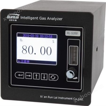 RL-S200型氢气纯度分析仪