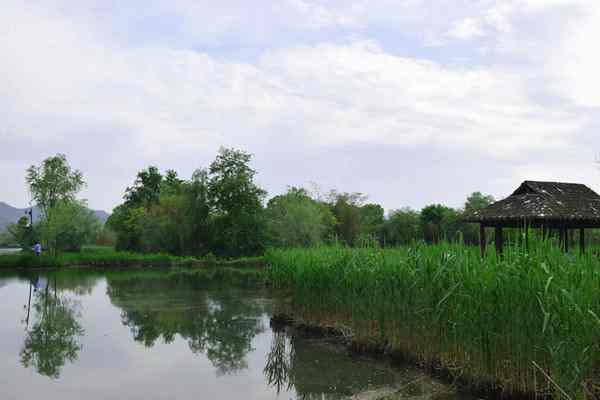 苏州发布省内首个系统性河道清淤技术标准