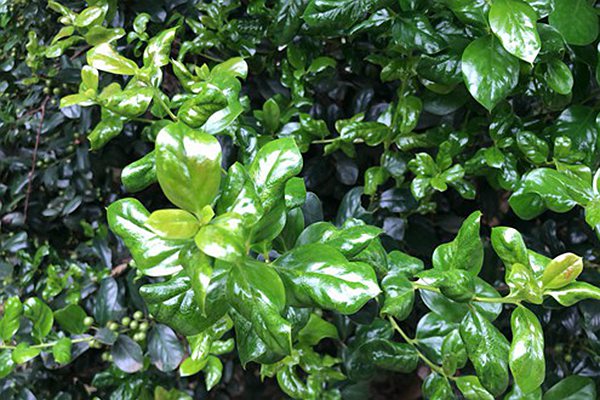 喜报！首单环保持有型不动产ABS成功在上交所挂牌上市