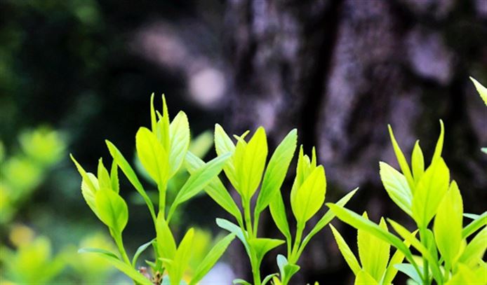 关于开展2025年度广州市石油和化工专业技术人员继续教育培训的通知