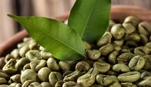 海南省商务厅关于推进海南咖啡国际新型专业市场建设的指导意见