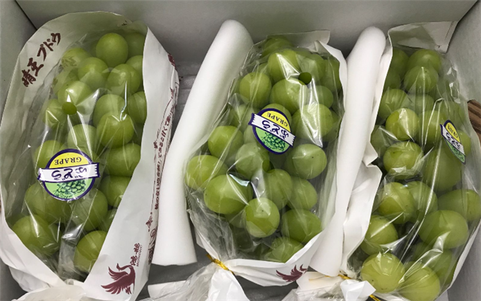 冷库安全：农产品保鲜链上的生命线