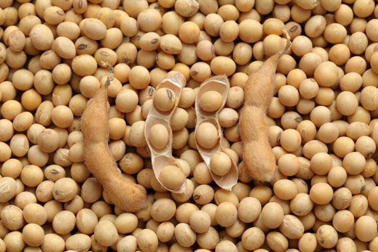 农业农村部组织开展东北片区大面积单产提升现场观摩